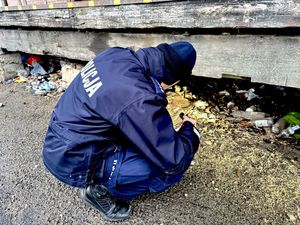 policyjne kontrole pustostanów