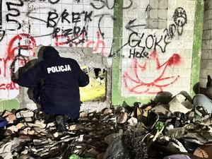 policyjne kontrole pustostanów