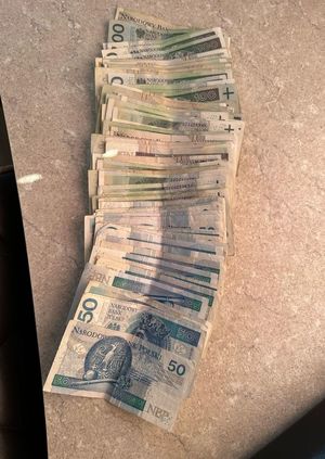 zabezpieczone pieniądze i zatrzymana kobieta