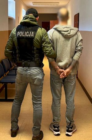 zatrzymany i zabezpieczone substancje