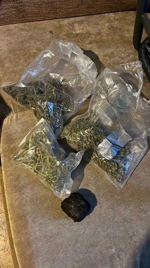 zabezpieczone krzewy i środki