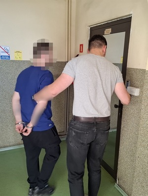 Areszt dla 24-latka podejrzanego o posiadanie znacznej ilości narkotyków i przygotowania do wprowadzenia ich do obrotu