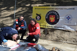 Policyjne psy służbowe podczas ćwiczeń