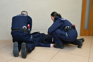 policjanci podczas eliminacji