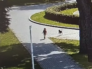 zdjęcia z monitoringu miejskiego