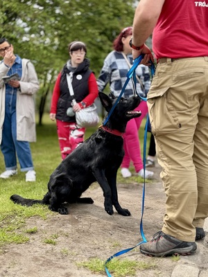 Policyjni przewodnicy psów służbowych  podczas spotkania z odwiedzającymi komendę
