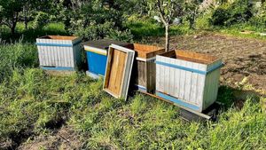 policjanci zatrzymali podejrzanego o kradzież uli