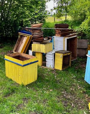 policjanci zatrzymali podejrzanego o kradzież uli