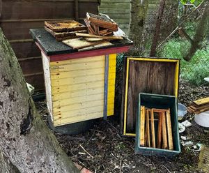 policjanci zatrzymali podejrzanego o kradzież uli