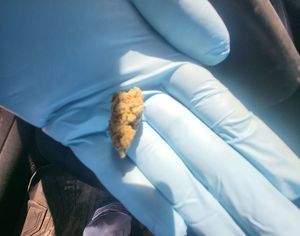 policyjne kontrole kierowców