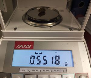 policyjne kontrole kierowców