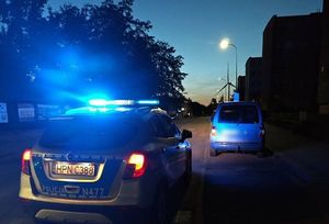 policjanci podczas kontroli drogowej