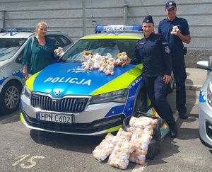 policjanci pluszowymi misiami