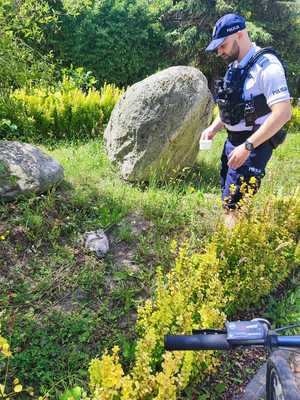 Sopoccy policjanci zaopiekowali się ranną mewą potrąconą przez samochód.