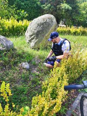 Sopoccy policjanci zaopiekowali się ranną mewą potrąconą przez samochód.