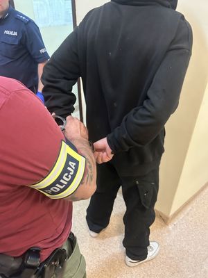 zatrzymani doprowadzani przez policjantów