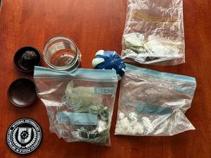 Blisko 0,5 kg narkotyków oraz nielegalna plantacja marihuany.