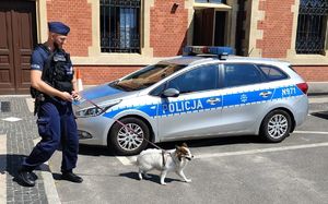 Policjant zajął się psem, który biegał po terenie dworca.