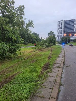 policjanci pracują na miejscu wypadku