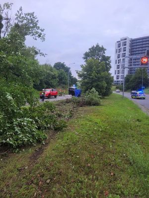 policjanci pracują na miejscu wypadku