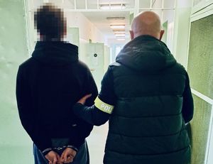 Policjanci zatrzymali 29-latka i przedstawili mu 7 zarzutów.