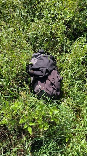 42-latek trafił do aresztu za rozboje.