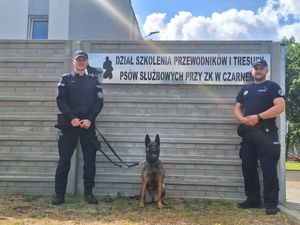 przewodnicy psów służbowych podczas szkolenia