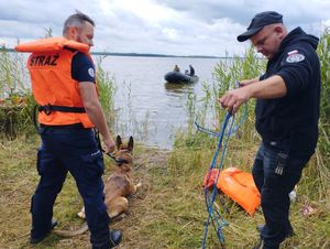 przewodnicy psów służbowych podczas szkolenia