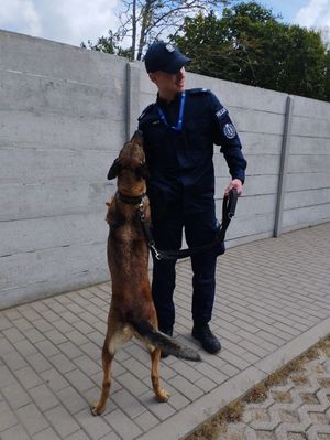 przewodnicy psów służbowych podczas szkolenia