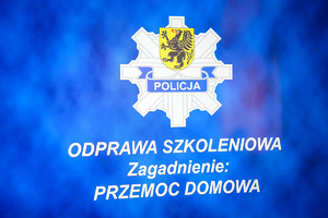 Sympozjum eksperckie na temat przemocy domowej i przestępczości nieletnich województwa pomorskiego.