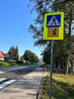 PLACÓWKI OŚWIATOWE POD LUPĄ DROGÓWKI