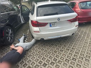 Zatrzymany 30-letni obywatel Danii, który uciekał kradzionym bmw.