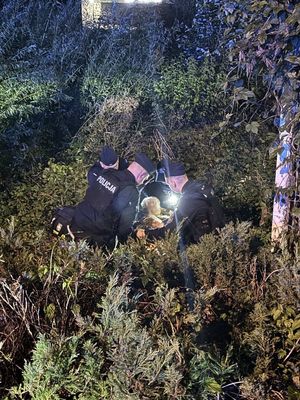 policjanci podczas poszukiwań