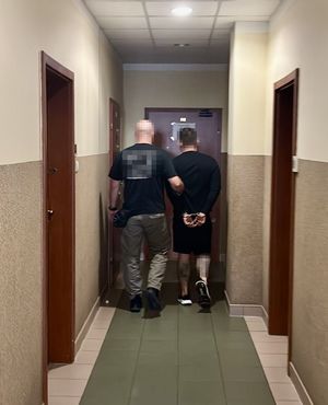 Puccy kryminalni zatrzymali sprawców