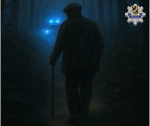 grafika poglądowa do profilaktyki zaginięć