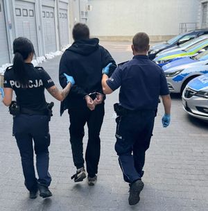 Poszukiwany 40-latek z Mołdawii usłyszał zarzuty za dwie kradzieże i trafił do zakładu karnego.