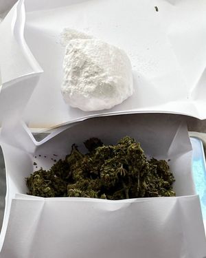 zabezpieczone przez kryminalnych narkotyki