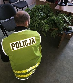 policjanci i zabezpieczone narkotyki
