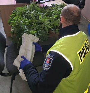 policjanci i zabezpieczone narkotyki