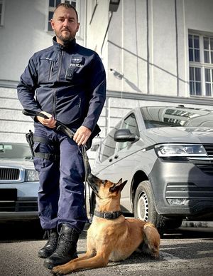 przewodnik z Vanilą