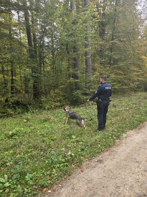 Grupowe doskonalenie sprawności użytkowej psów służbowych województwa pomorskiego