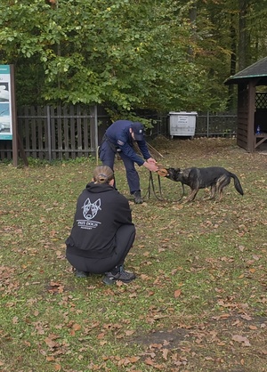 Grupowe doskonalenie sprawności użytkowej psów służbowych województwa pomorskiego