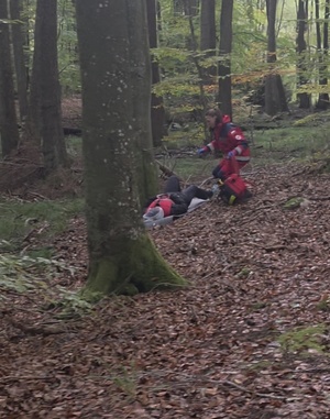 Grupowe doskonalenie sprawności użytkowej psów służbowych województwa pomorskiego