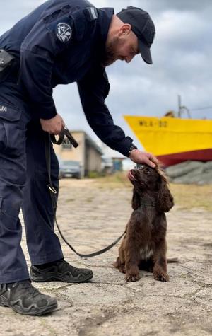 Grupowe doskonalenie sprawności użytkowej psów służbowych województwa pomorskiego
