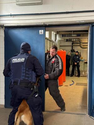 Grupowe doskonalenie sprawności użytkowej psów służbowych województwa pomorskiego