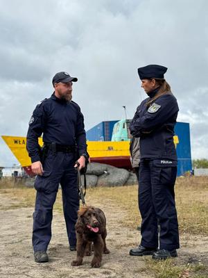 Grupowe doskonalenie sprawności użytkowej psów służbowych województwa pomorskiego