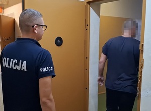 zdjęcia z dziupli samochodowej