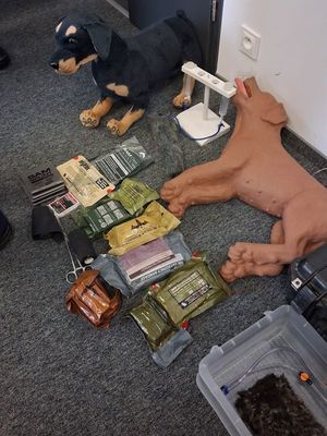 policjanci na spotkaniu z delegacją z Norwegii