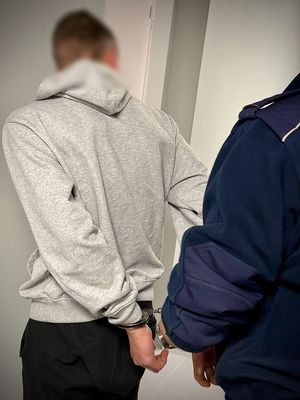 Tryb przyspieszony i wniosek o deportację dla sprawcy kradzieży.