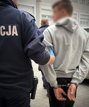 Tryb przyspieszony i wniosek o deportację dla sprawcy kradzieży.